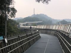 -福道