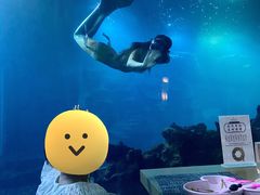 -涛·海底餐厅·美人鱼·自助餐·海底隧道(三亚海棠湾洲际度假酒店)
