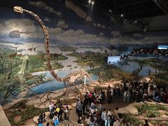 -自贡恐龙博物馆