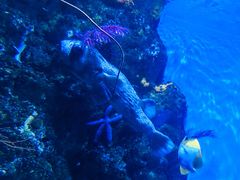 -鹿儿岛水族馆