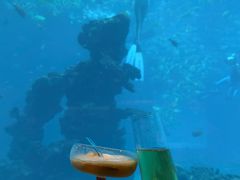 -海棠湾洲际-涛·海底餐厅·美人鱼·自助餐·海底隧道