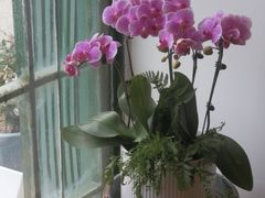 -参差咖啡(水果湖公园店)