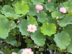 -沐仙湖湿地公园