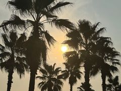 -金沙湖公园