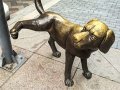 -中粮·祥云小镇