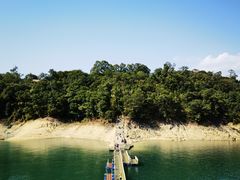 -广州市流溪河国家森林公园