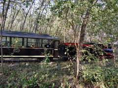 -合肥滨湖国家森林公园