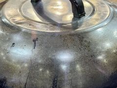 -顺德火焰醉鹅坊(珠海店)