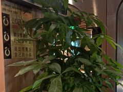 -大鸭梨烤鸭(顺义石园店)