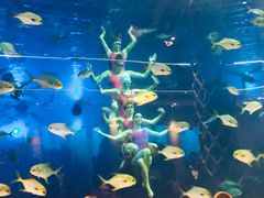 -瑞德姆美人鱼海底演艺主题餐厅(亚龙湾店)