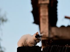 -寒山寺