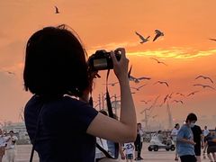 -东港音乐喷泉广场