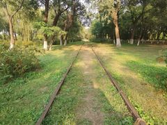 -永定河休闲森林公园