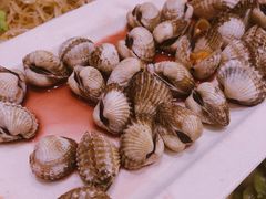 血蛤-华盛丰温州大排档(东三环南路店)