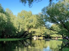 -上海共青森林公园