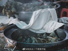 -老妈宫粽球