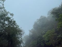-广州市帽峰山景区