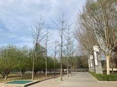 -大望京公园