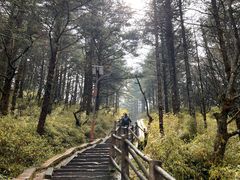 -峨眉山风景名胜区
