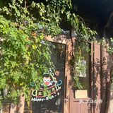 木香花开一点不输其他春日使者