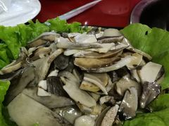 -鲁朗纳麦石锅鸡庄园