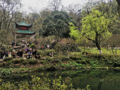 -岳麓山风景名胜区