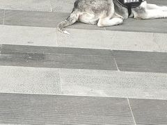 -长安大学(北校区)