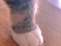 -平行世界·猫咖(首经贸店)