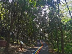 -广东茂名森林公园