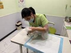 -艾吉宠物医院·疑难杂症转诊中心·猫友好(碧江路院)