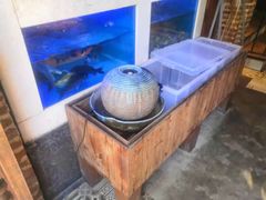 -宝翠花园餐厅(沙湖店)