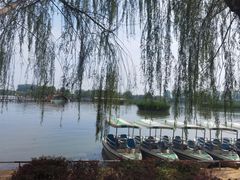 -白洋淀风景区