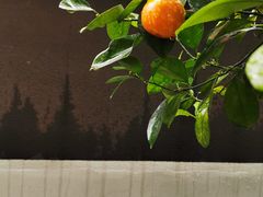 -厦门良筑精品酒店(厦门中山路店)