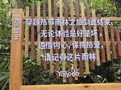 -呀诺达热带雨林