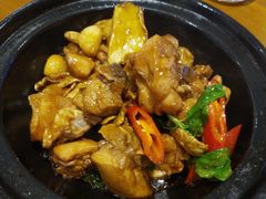 宝島雞-芒果爆爆(东海缤纷店)