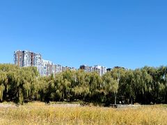 -望湖公园