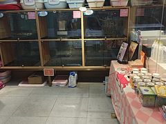 -FAELING PETS美天灵宠物(富力广场店)