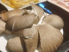 平菇-巴蜀大宅门火锅(北大街店)