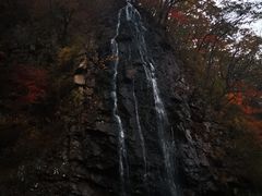 -龙道沟景区
