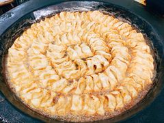 向群锅饺-向群锅饺(登高路店)