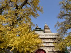 -北京石刻艺术博物馆(五塔寺)