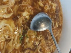 -海派美食·家宴海鲜青岛菜·石锅鲽鱼头(东方城店)