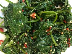 凉拌苕尖-江湖黑大兔(杨家坪店)
