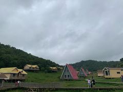 -关山草原