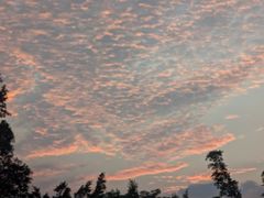 -火炉山森林公园