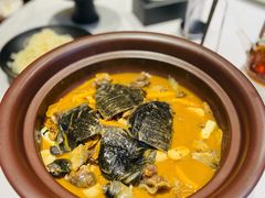 甲鱼-王捌小院(红花坡店)