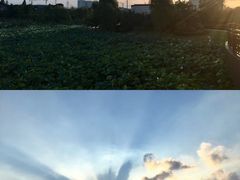 -龙寺生态园
