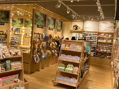 -Xcape异时刻密室逃脱魔法互动(瑞虹天地太阳宫店)