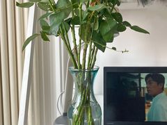 -ZARA HOME(蓝色港湾店)