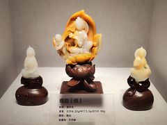 -湖南省地质博物馆